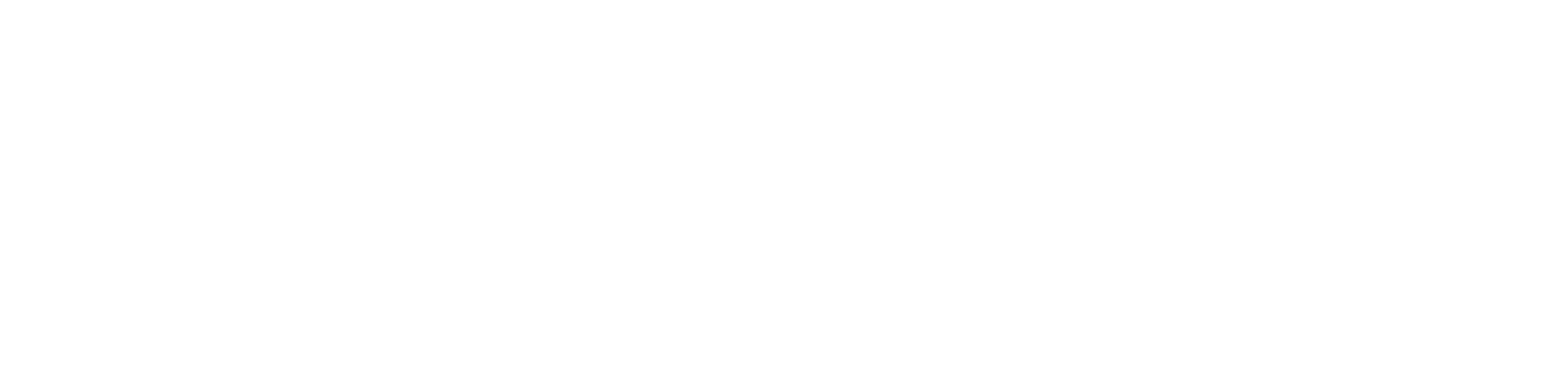 logo-newbe-branco